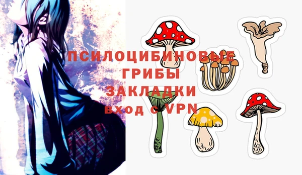 сатива Алексин